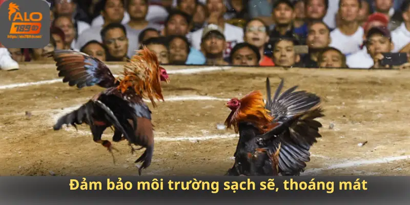 Đảm bảo môi trường sạch sẽ, thoáng mát