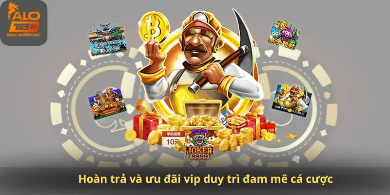 Hoàn trả và ưu đãi vip duy trì đam mê cá cược