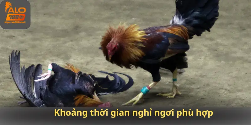 Khoảng thời gian nghỉ ngơi phù hợp