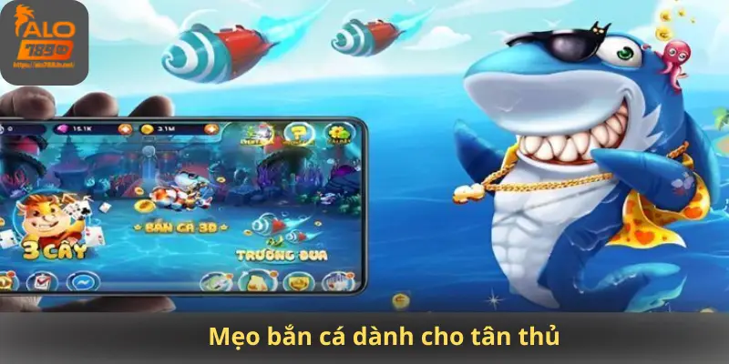 Mẹo bắn cá dành cho tân thủ